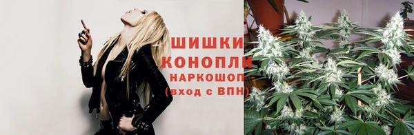 2c-b Белокуриха